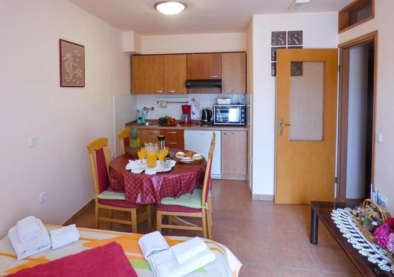 Adria Vrsar Apartment Exterior photo